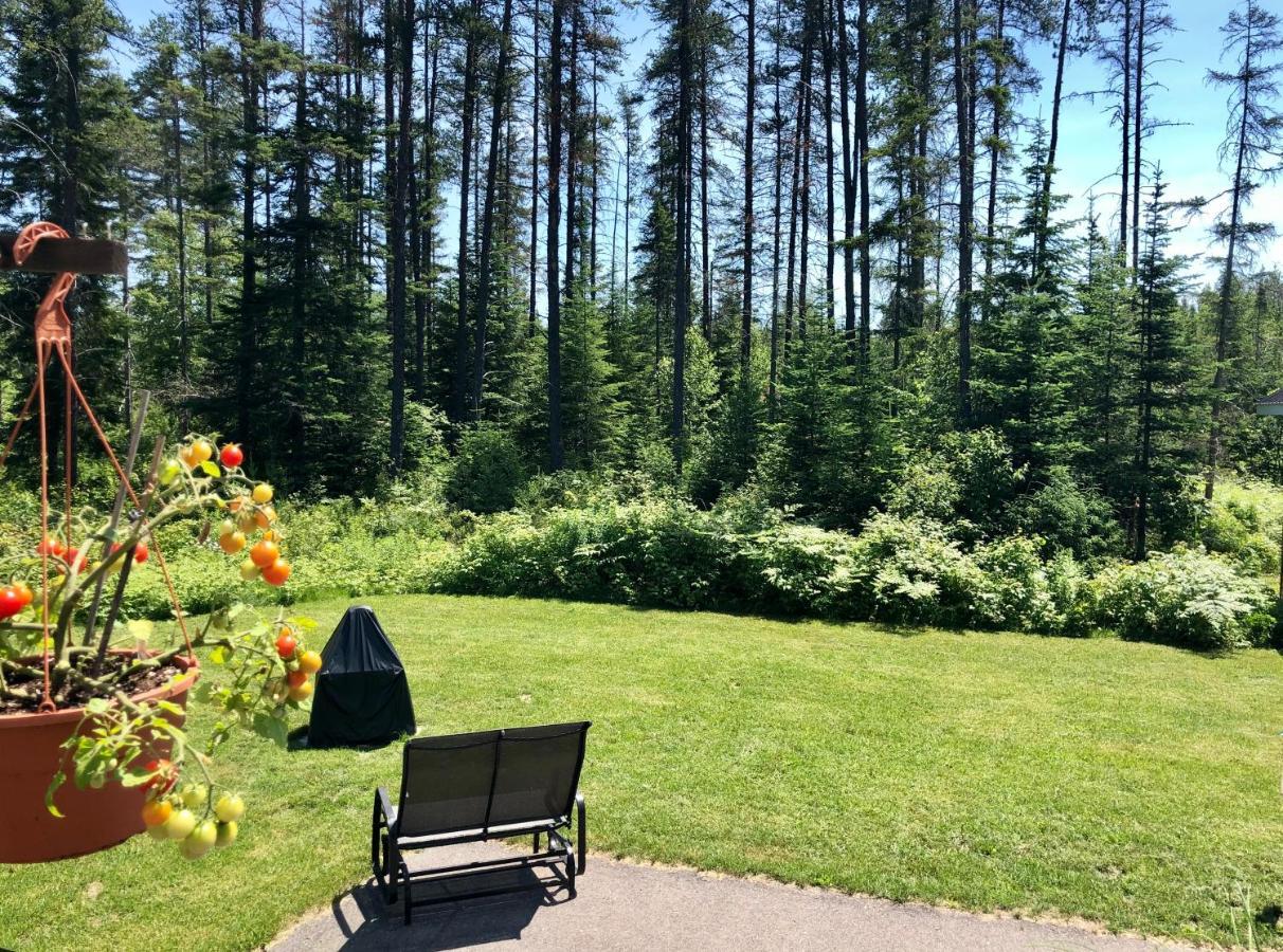 Le Chalet De Claude, Au Pied Des Monts-Valin Saint-David-de-Falardeau Экстерьер фото